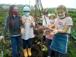 Gemüseackergruppe des BUND Naturschutz sucht noch junge Gärtner