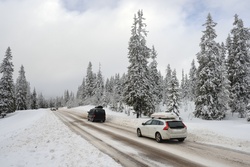 Fahren im Winter: Mit guter Vorbereitung kommen Sie sicher ans Ziel