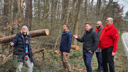 Wendelstein braucht tatkräftige Waldbesitzer, Lindner fordert sie zu unterstützen