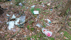 Illegale Mülldeponien in Wendelsteiner Wäldern