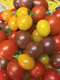 Einfach paradiesisch: Tomaten