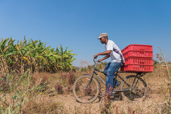 Drei Buffalo-„Alltagsräder“ für Afrika