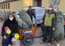 Lastenrad bringt den Weihnachtsbaum – AVANTI spendet Weihnachtsbäume an die TAFEL