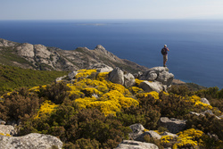 Das Gebirge trägt Gelb: Mai-Wanderungen am Kap von Sant’Andrea