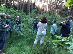 50 Jahre BN Wald bei Raubersried