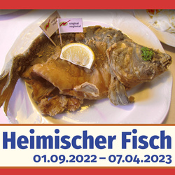 „Heimischer Fisch – frisch auf den Tisch“
