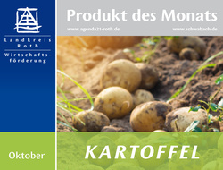 Die Kartoffel ist das „Produkt des Monats“ im Oktober