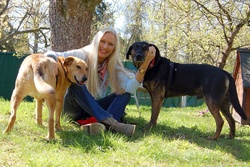 Pflegefamilien gesucht – ein dringender Appell aus der Tierhilfe
