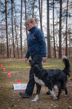Rally Obedience - Spaß für Mensch und Hund
