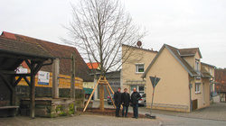 Neuer Lindenbaum in Röthenbach
