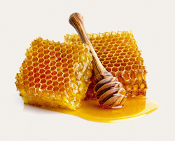 Wissenswertes zum Thema Honig