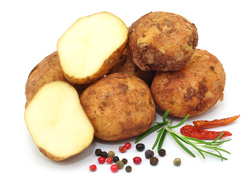 Frühkartoffeln: Beliebt, immer frisch und in der Küche vielseitig einsetzbar