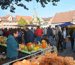 19. Schwabacher Regionalmarkt