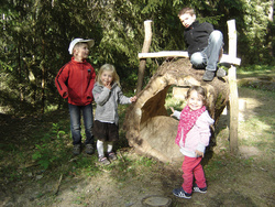 Erlebnis für Jung und Alt - Wendelsteiner Walderlebnispfad am Ludwigskanal