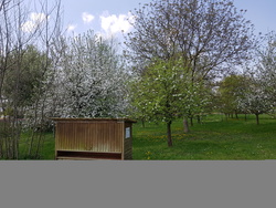 Neuer Bienenstand in Wendelstein
