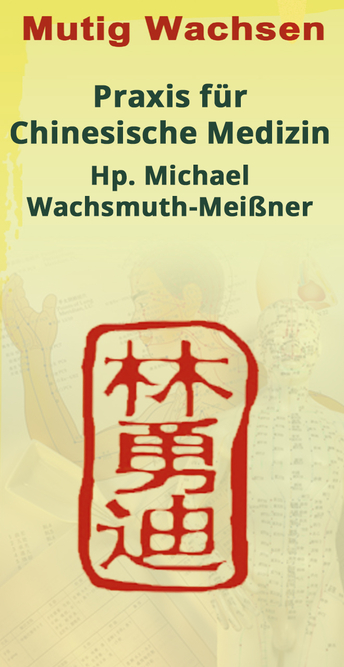 Praxis f&uuml;r Chinesische Medizin Michael Wachsmuth-Mei&szlig;ner
