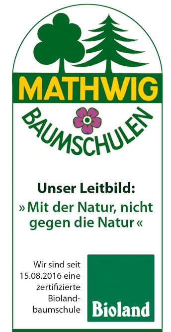 Klaus Mathwig Baumschulen