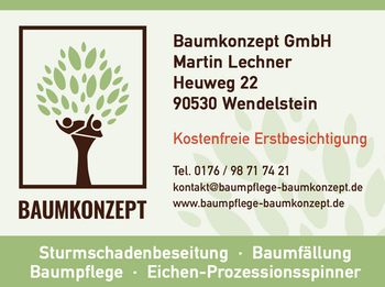 Baumpflege Baumkonzept GmbH