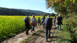 Zum Tag der Regionen: Wanderung zum Bioapfel Anbau