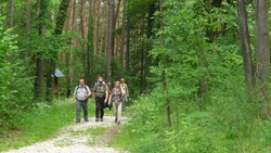 Probewanderung Kultur trifft Natur im Weißenburger Wald.
