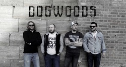 Dogwoods - live