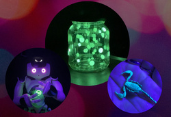 Glow in the Dark – Bionischer Ferienkurs für Kinder und Jugendliche